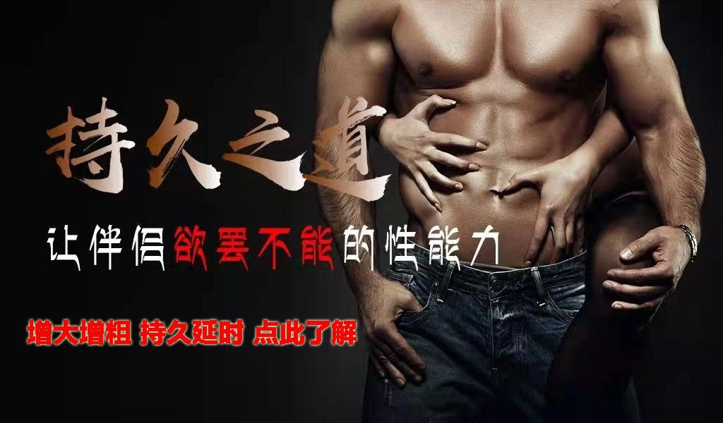 节派训练法